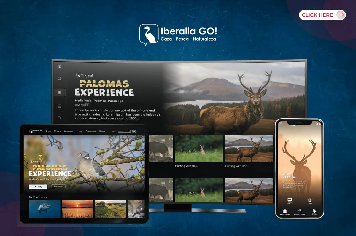 Enabled Iberalia Website